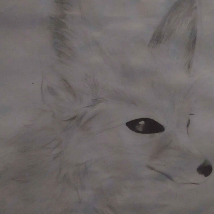 Pencil Shading